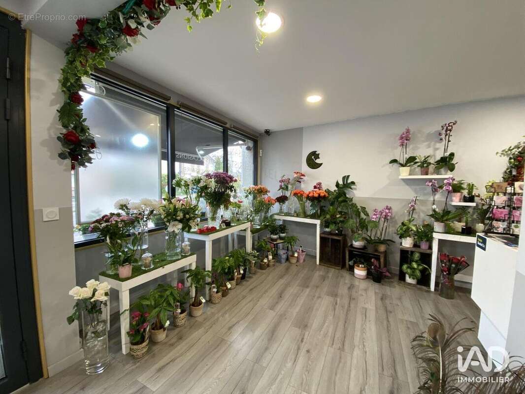 Photo 3 - Commerce à MONT-DE-MARSAN