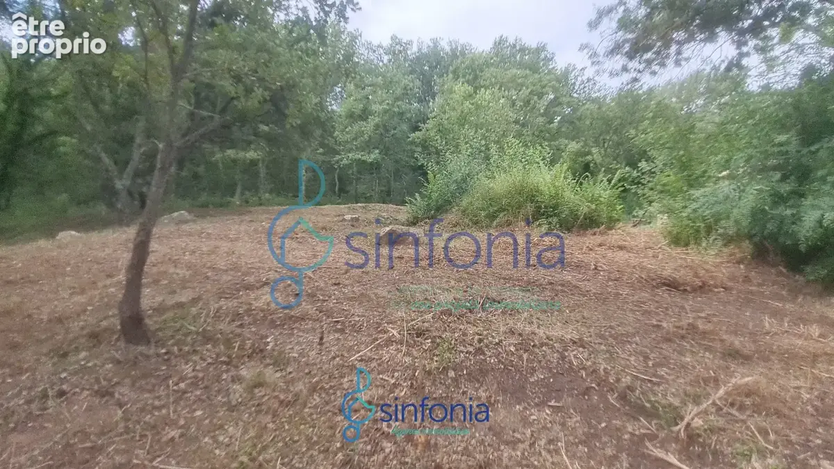 Terrain constructible à vendre à Pougnadoresse Gard 30 Occitanie - photo 10