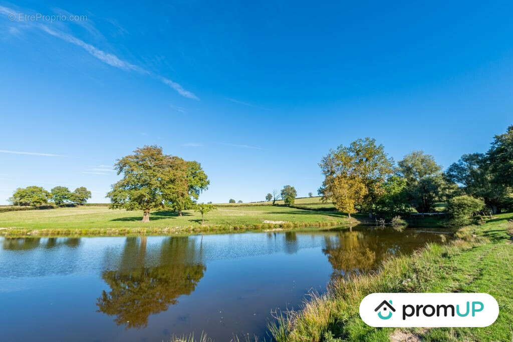 Terrain à SAINT-LAURENT-D'ANDENAY
