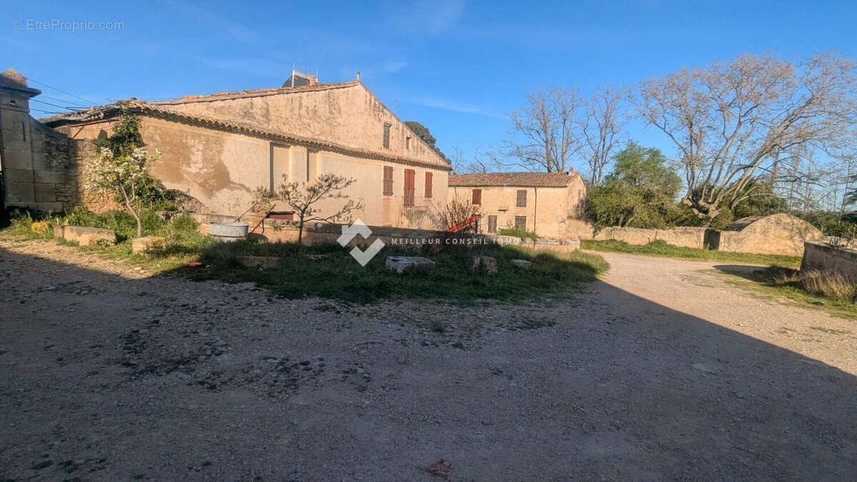 Maison 3000 m² à Puisserguier  - photo 7