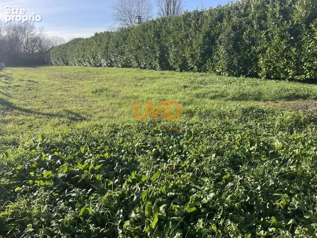 Terrain à bâtir – Thors (17160) - photo 3