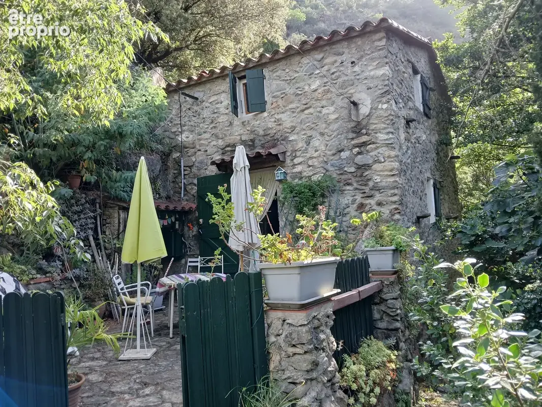 Mas en pierre à Reynes - photo 14