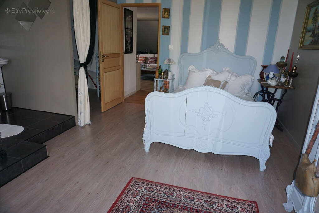 Balle maison avec terrain et etangs - photo 19
