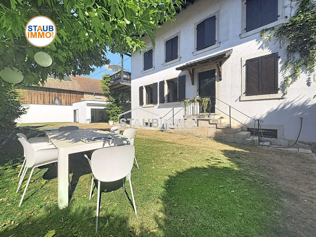 Maison 290 m² à Oltingue  - photo 8