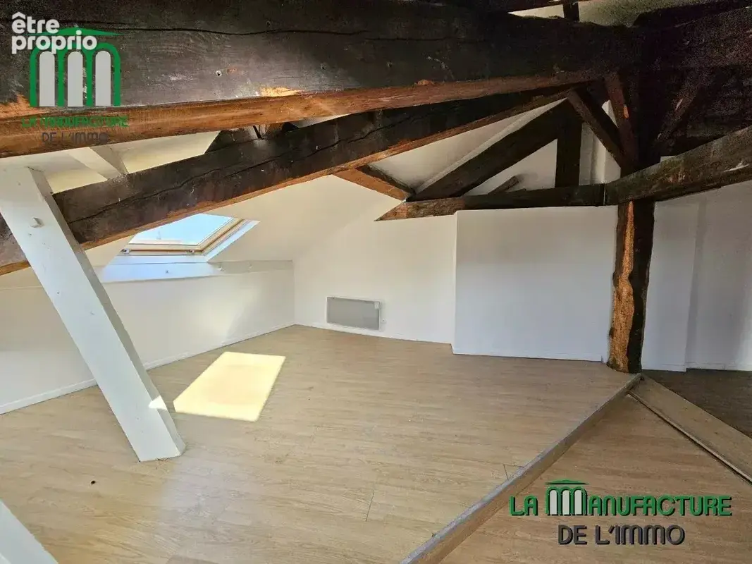Appartement de caractère de type T3 de 53 m² Carrez et 84 m² au sol - Prox. Châteaucreux - photo 4