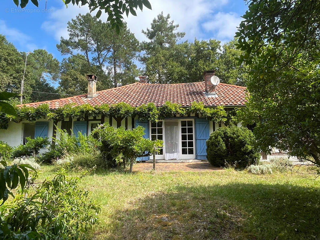 Maison à SABRES