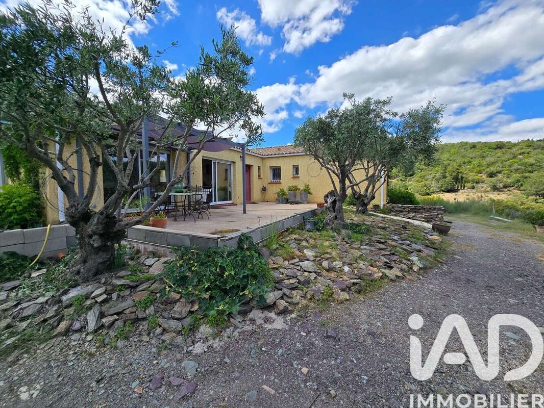 Maison 150 m² à Embres-Et-Castelmaure  - photo 2
