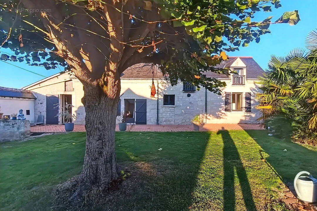 Maison à SAVIGNY-EN-VERON