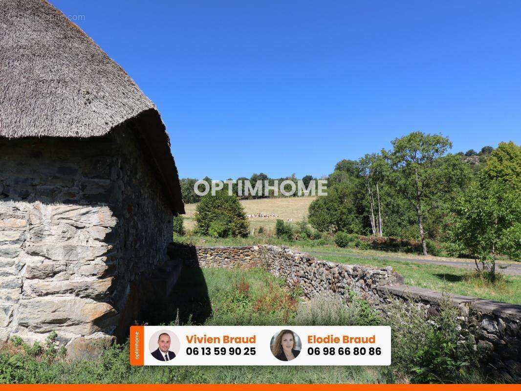 Pierre, chaume, grands volumes et vue sur le Sancy : un projet rare dans le Cantal - photo 18