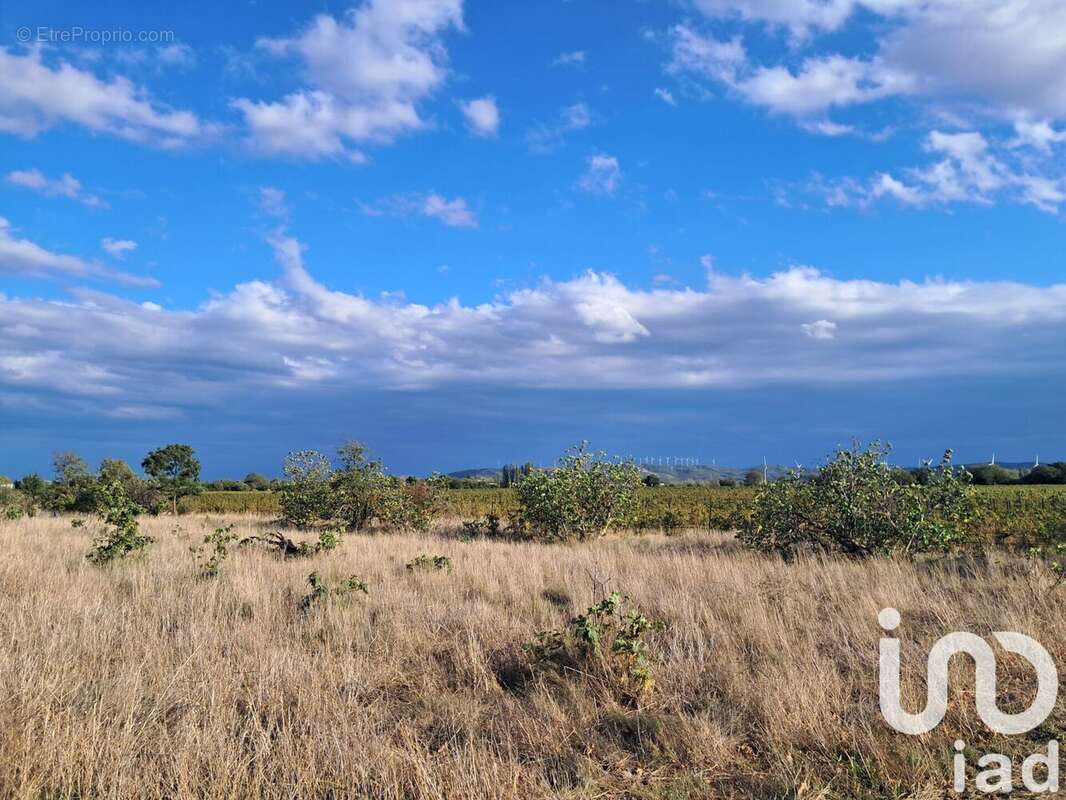 Photo 7 - Terrain à CANET