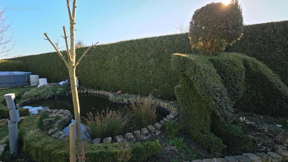 Maison à BUCQUOY