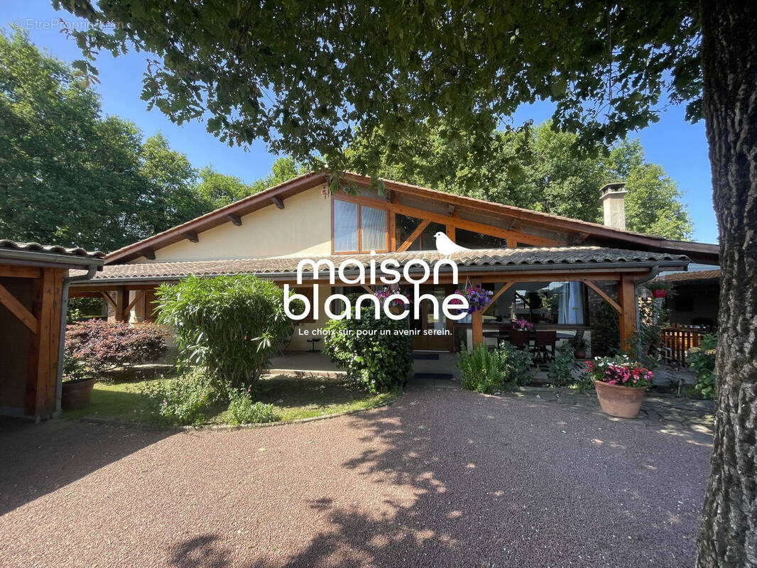 Maison à SAINT-EMILION