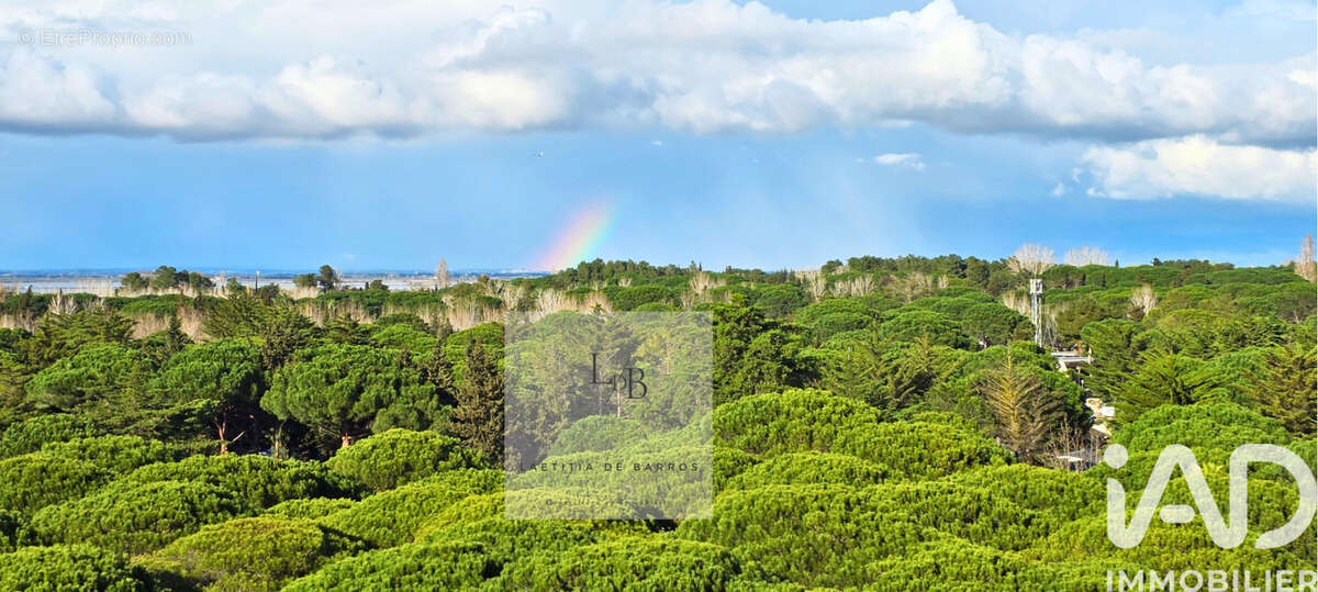 Photo 2 - Appartement à LA GRANDE-MOTTE