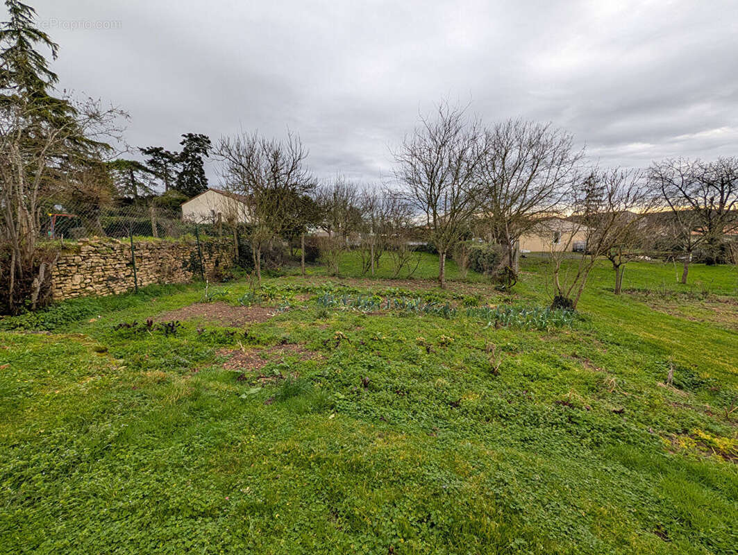 Terrain à LA MOTHE-SAINT-HERAY