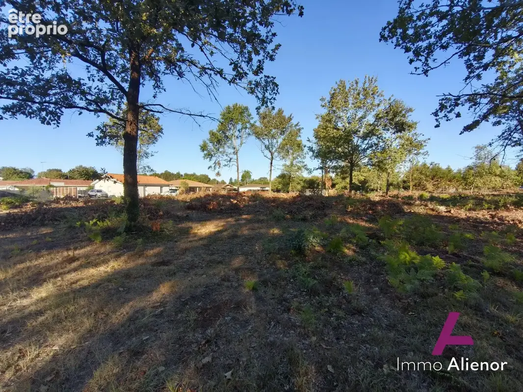Terrain 472 m² à Belin-Beliet  - photo 3
