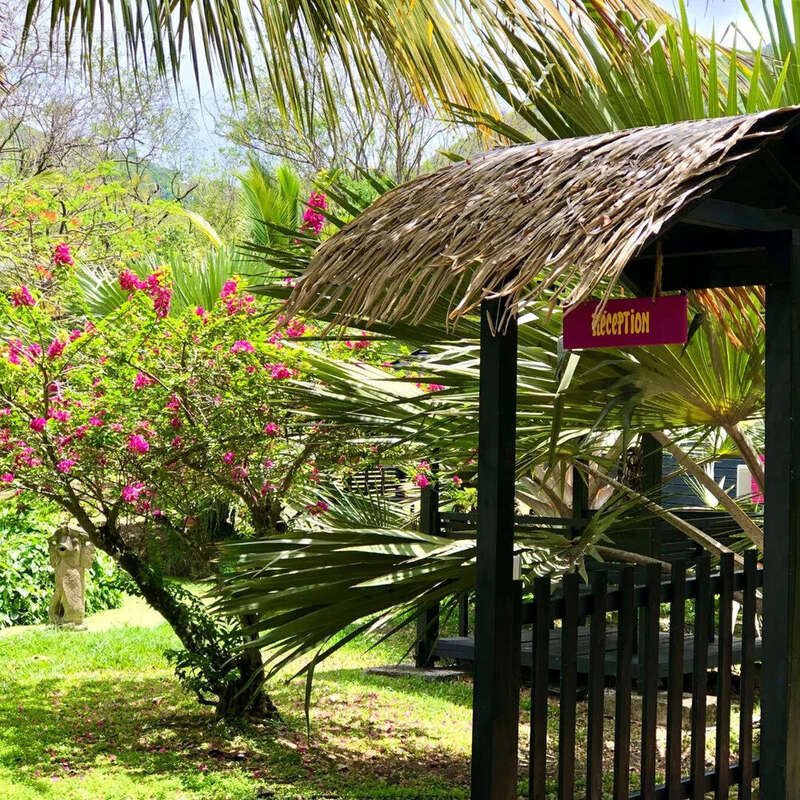 Villa Sud Ouest Martinique - photo 11