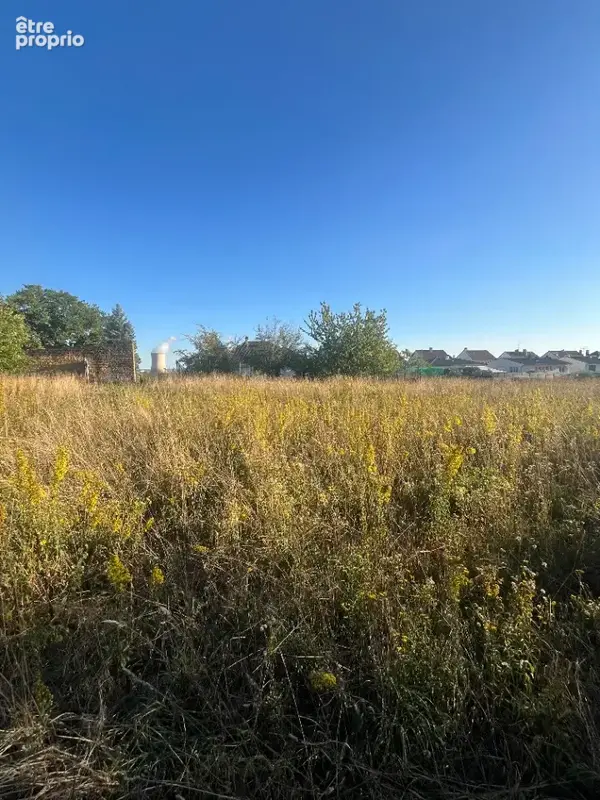 Terrain à VALMESTROFF
