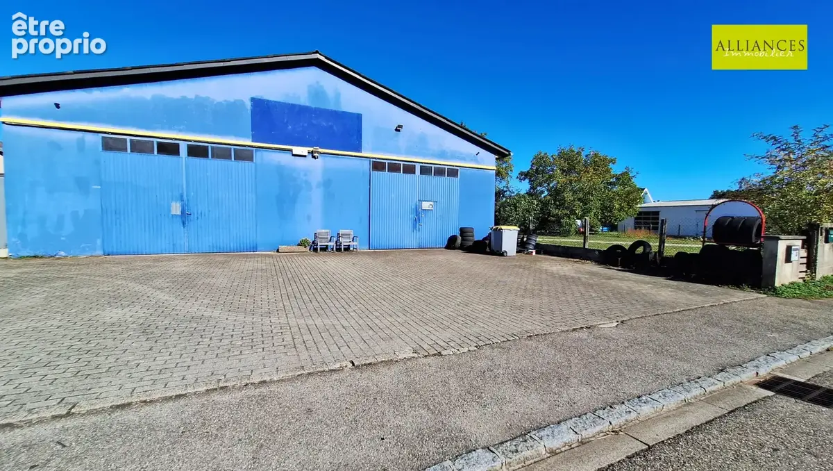 WITTENHEIM-Ensemble immobilier en zone artisanale et commerciale : locaux professionnels, grands volumes et te - photo 23