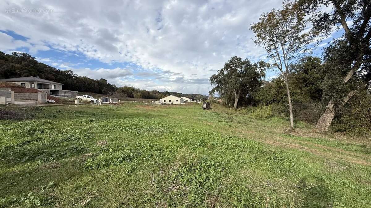 Terrain à POGGIO-MEZZANA