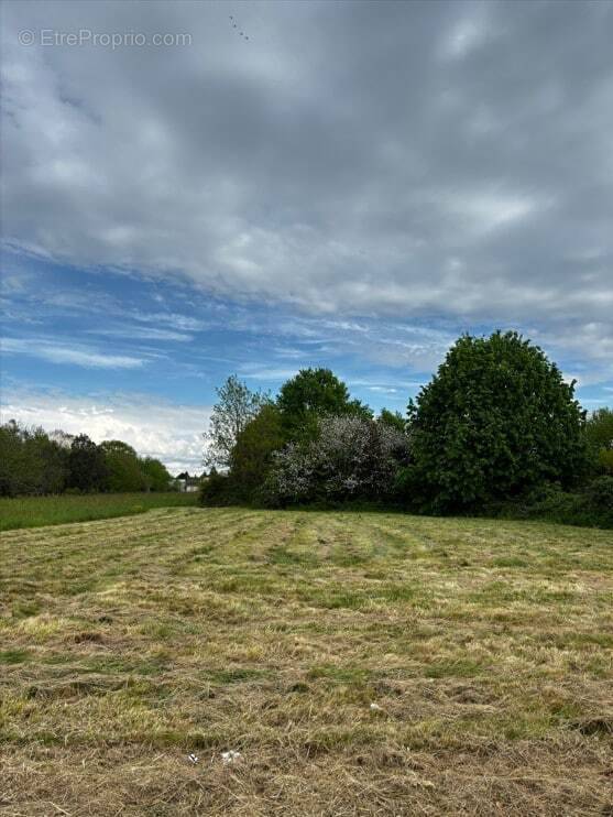 Terrain à COULOUNIEIX-CHAMIERS