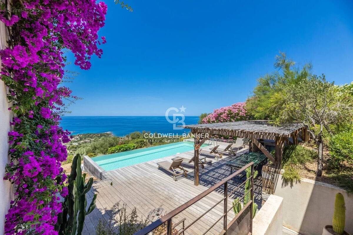 Photo Maison à Corbara au prix de 2 490 000€