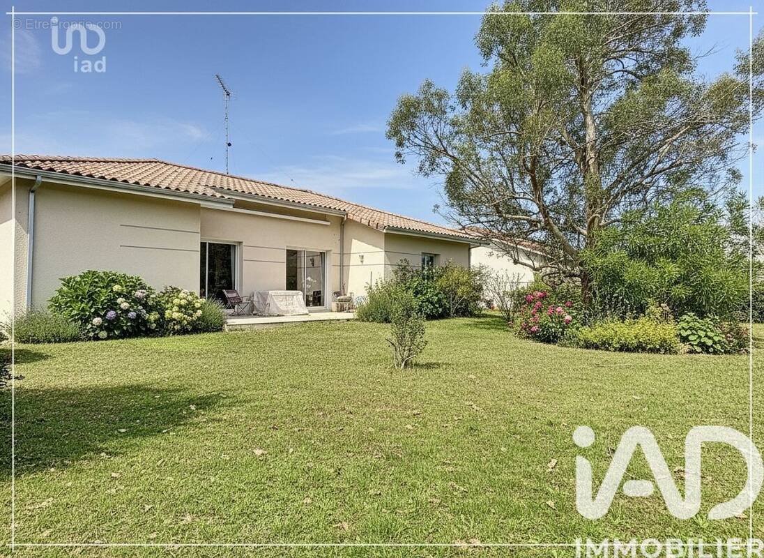 Photo 1 - Maison à MAGESCQ