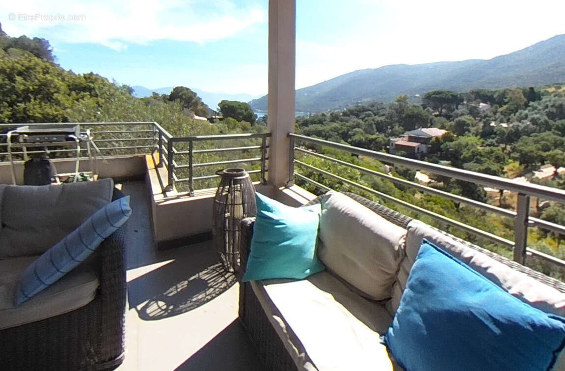 Maison à BELVEDERE-CAMPOMORO