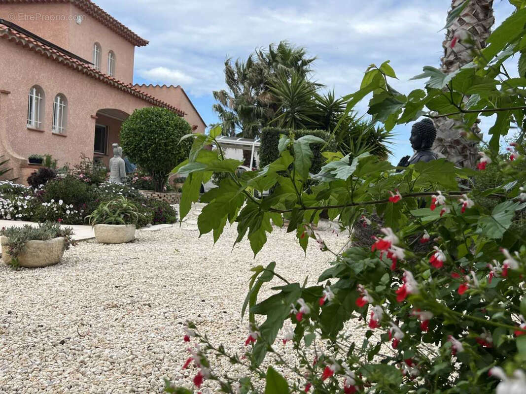 Maison à TORREILLES