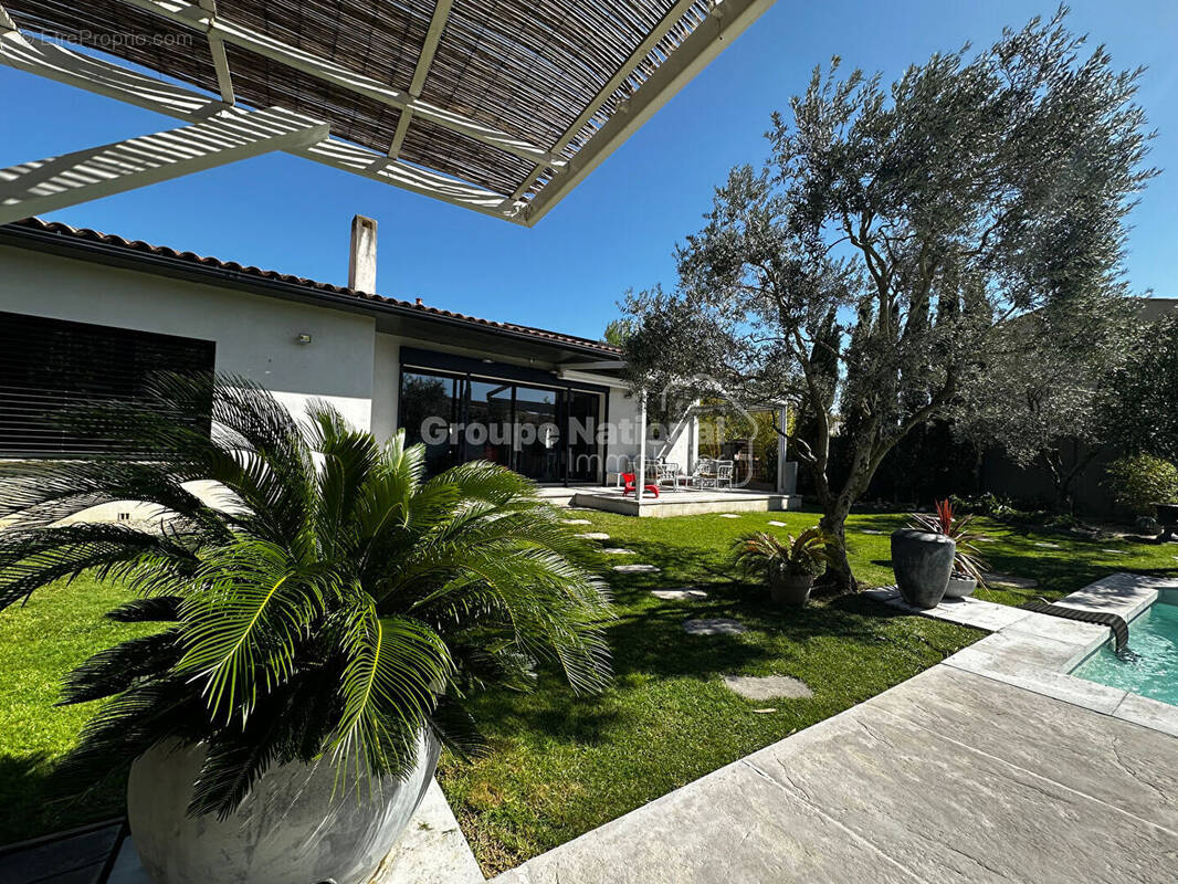 Maison à MORIERES-LES-AVIGNON