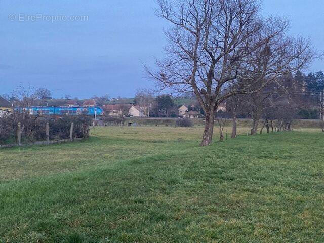 Terrain à VARENNES-SUR-ALLIER
