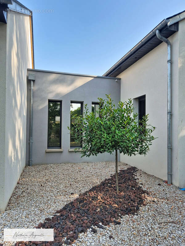Nuces   Maison contemporaine 144 m2 de plain-pied avec piscine - photo 16