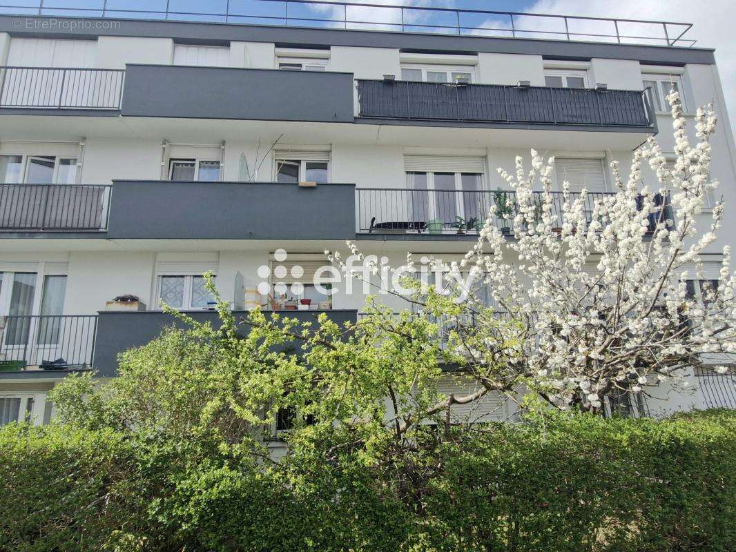 Appartement - photo 14