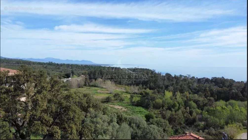 Appartement à SARI-SOLENZARA