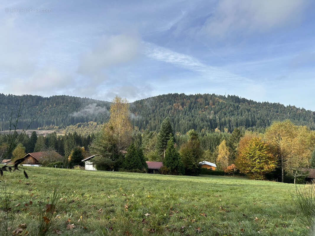 Terrain à GERARDMER