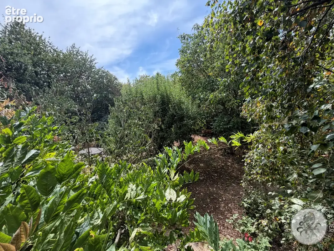 À vendre   maison avec grand terrain boisé à jugon-les-lacs - photo 16