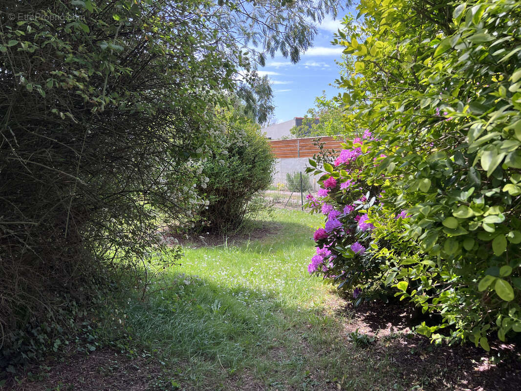Maison à ERQUY