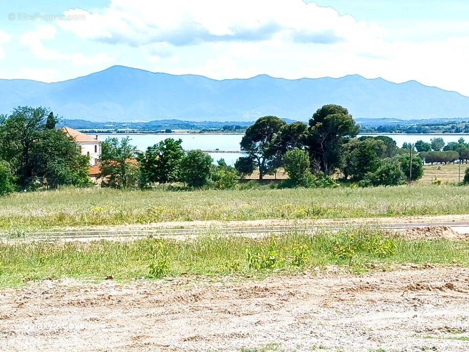 Terrain à VILLENEUVE-DE-LA-RAHO