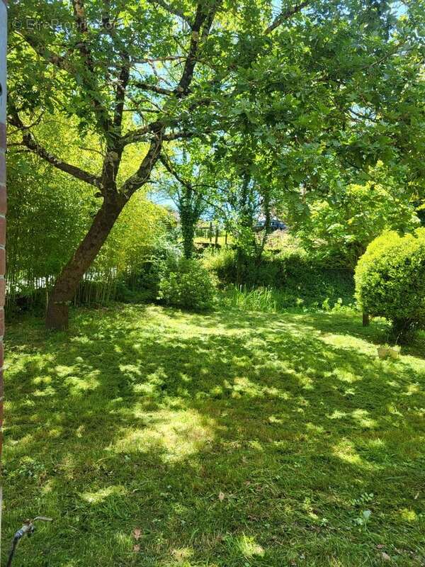 L&#039;Isle-en-Dodon, Haute Garonne, charmante maison spacieuse avec ruisseau, cadre rural, jardin   charming spacious house with stream, rural setting garden - Maison à L&#039;ISLE-EN-DODON