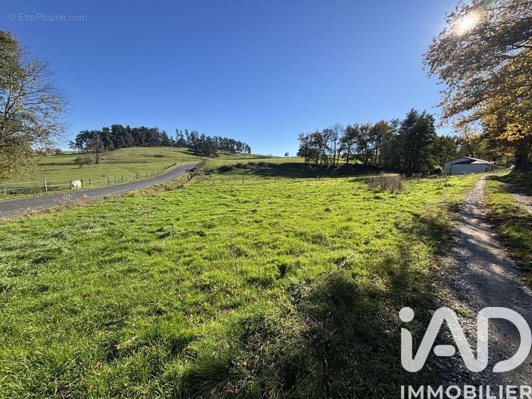 Photo 3 - Terrain à RETOURNAC