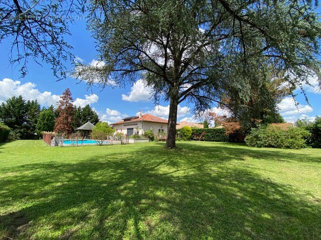 Maison T5 de 292 m2 avec piscine et terrain de 2000 m2 - photo 3