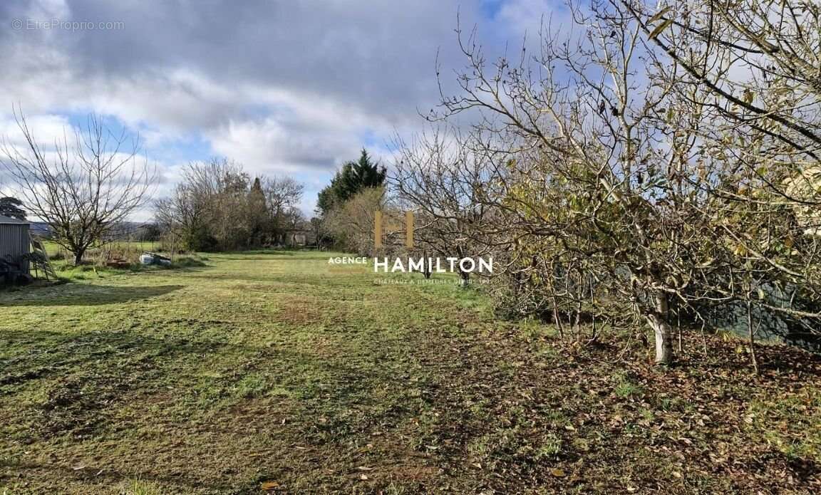 Maison à CORDES-SUR-CIEL