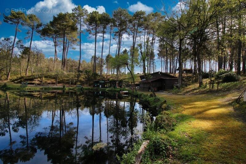 Maison à VILLANDRAUT