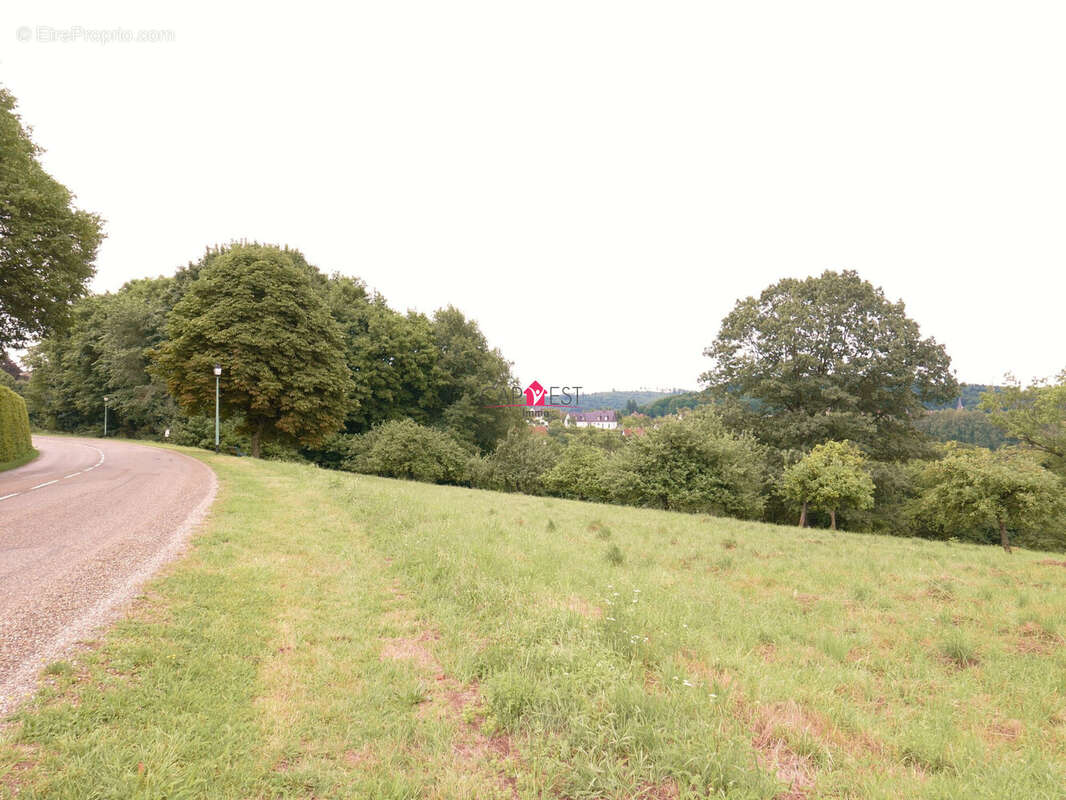 Terrain à LA PETITE-PIERRE