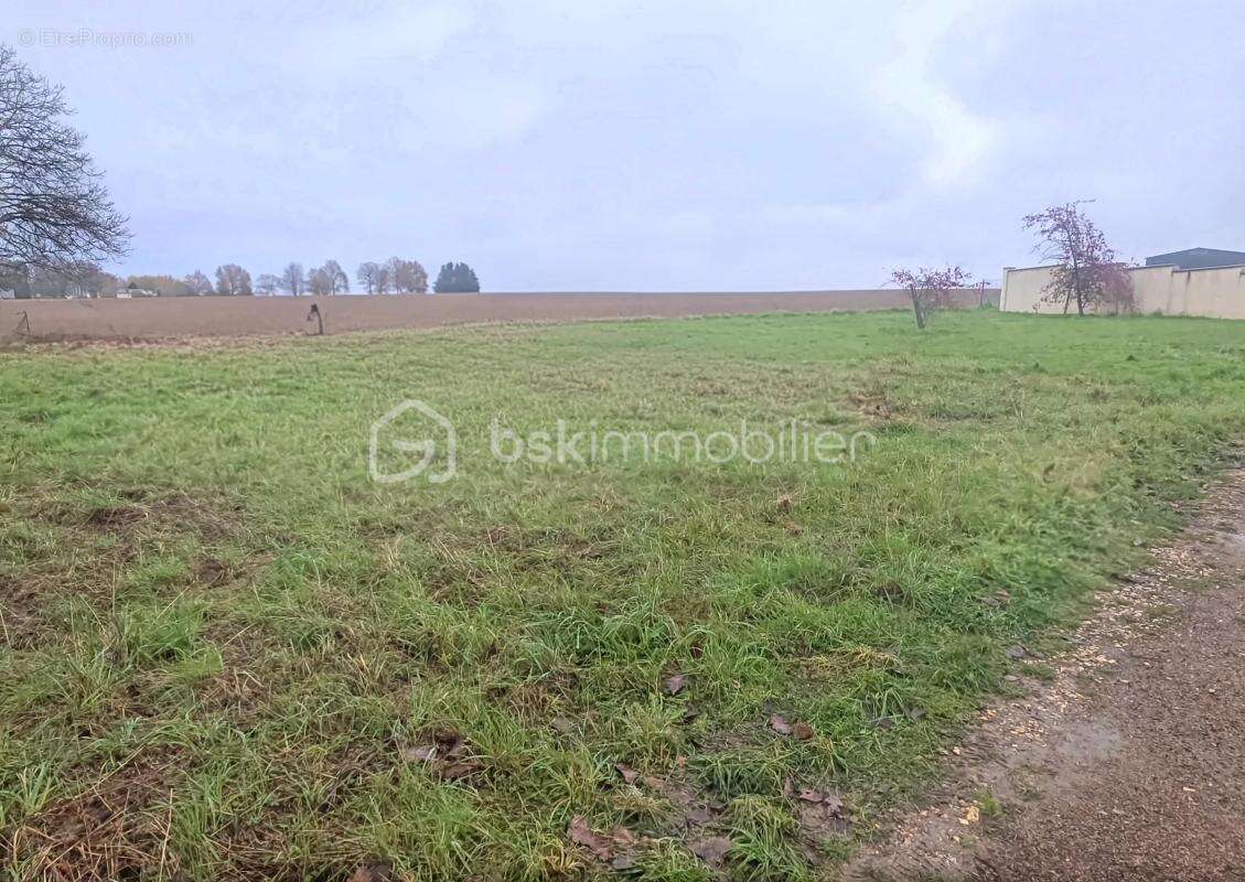 Terrain Constructible de 1095 m² à Savigny sur Clairis - photo 5