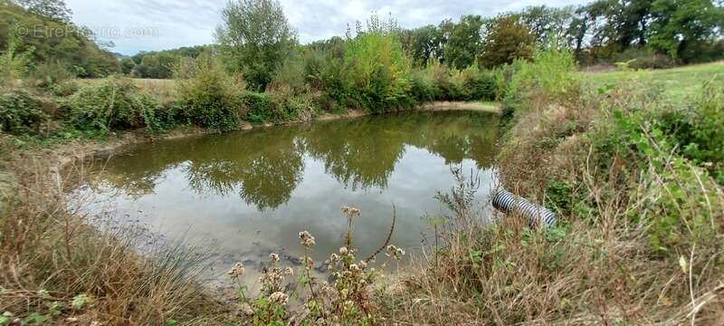 Dpt Gers (32), à vendre GIMBREDE Terrain de loisirs à la campagne avec lac privé – Idéal pour la détente en pleine nature - photo 2