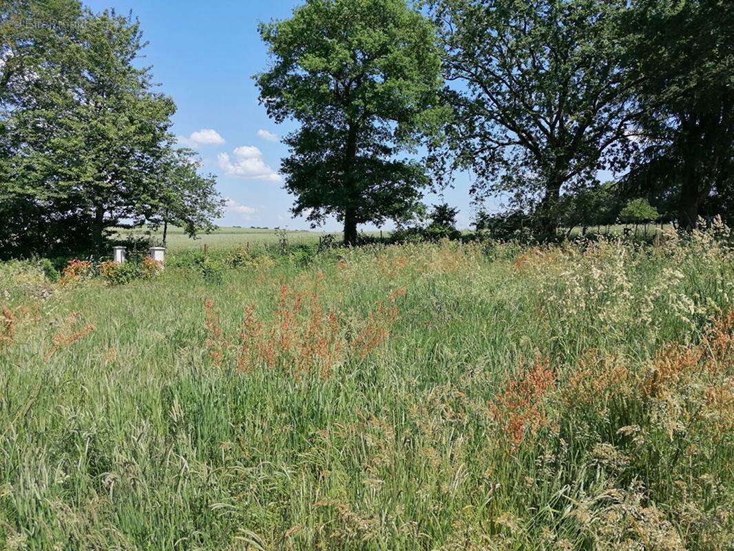 Terrain constructible 2259 m² ? Loyat ? 44 990  FAI - photo 8