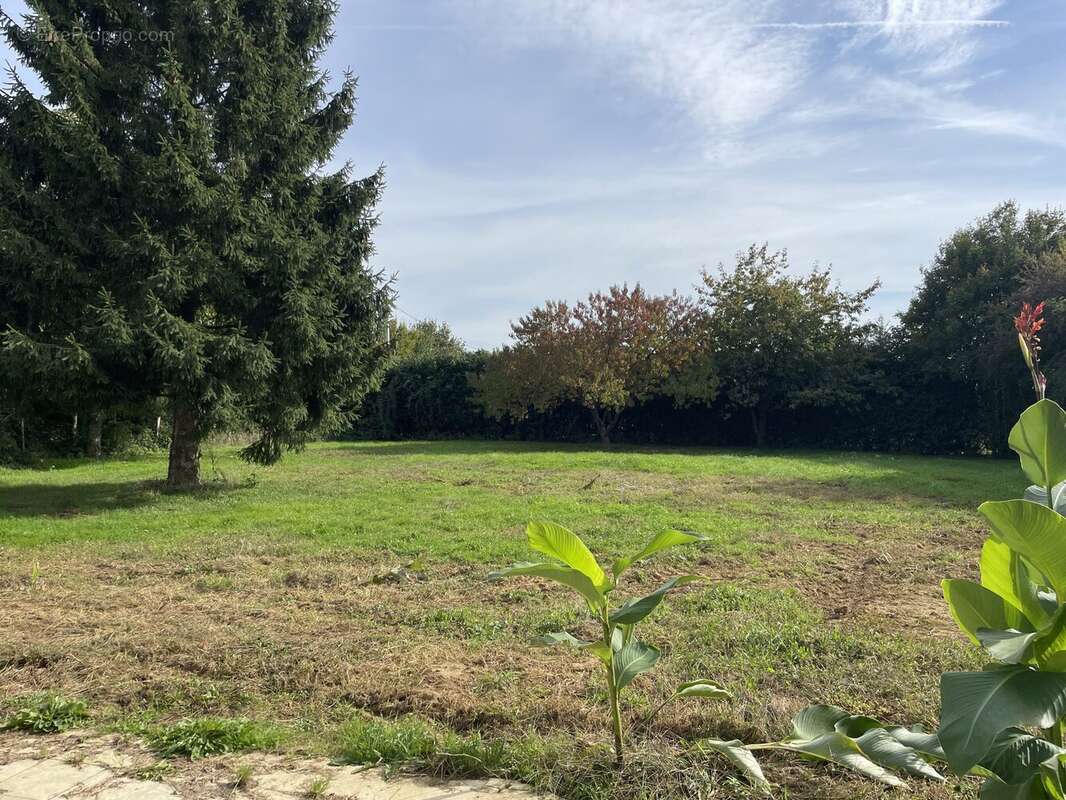 Terrain - Maison à COURCEMONT