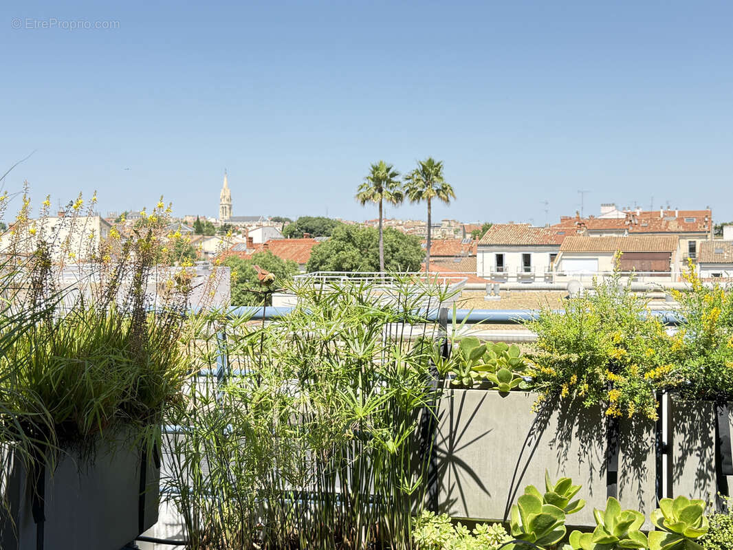 Appartement à MONTPELLIER