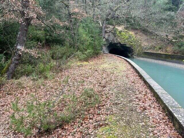 Exclusivite - terrain a vendre - la roque d'antheron - foret - photo 2