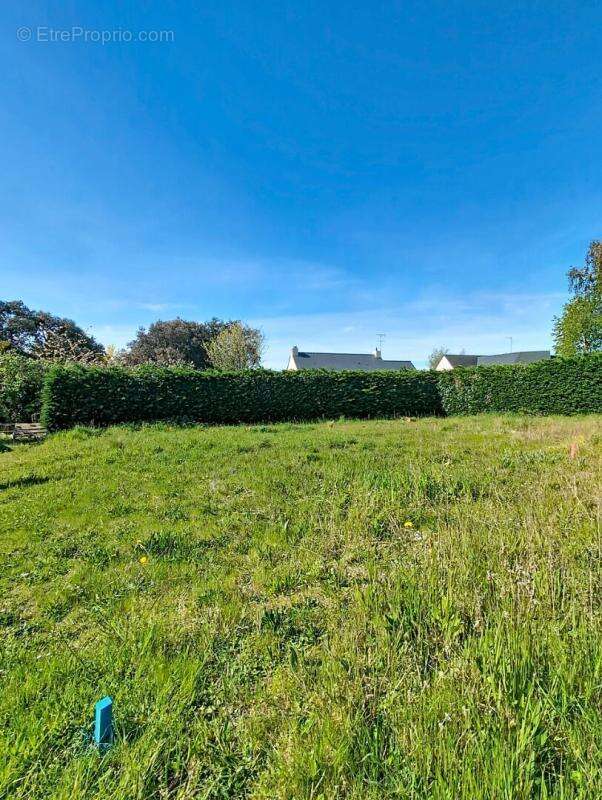 Terrain à GUERANDE
